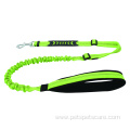 Eco-Friendly Dog Leash with heavy duty hook